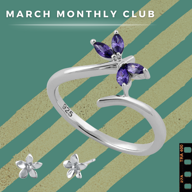 (Monthly Ring Club) Sterling Silver Rare Amethyst Butterfly + FREE Earrings
